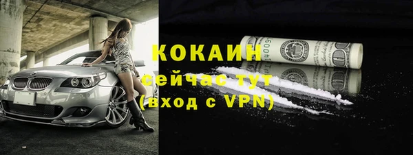 мдпв Осташков