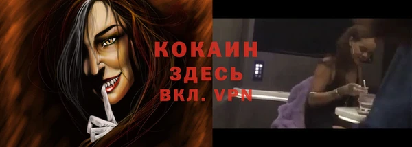 мдпв Осташков