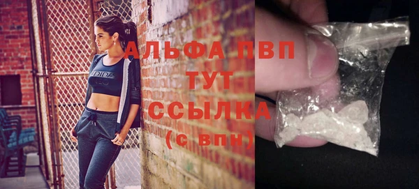 мдпв Осташков