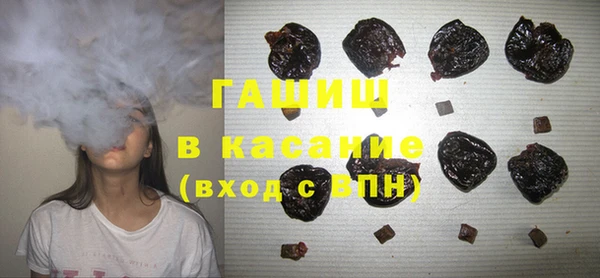 мдпв Осташков