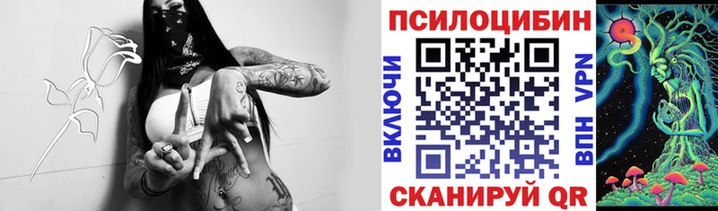 Галлюциногенные грибы Magic Shrooms  наркотики  Ясногорск 